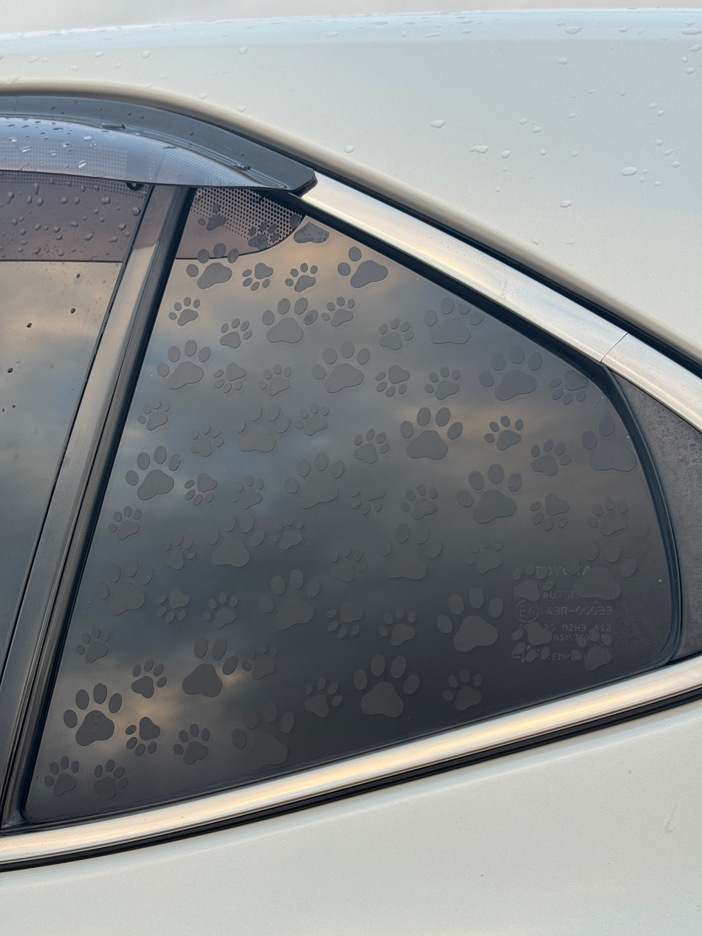 Paw Print Window Decal