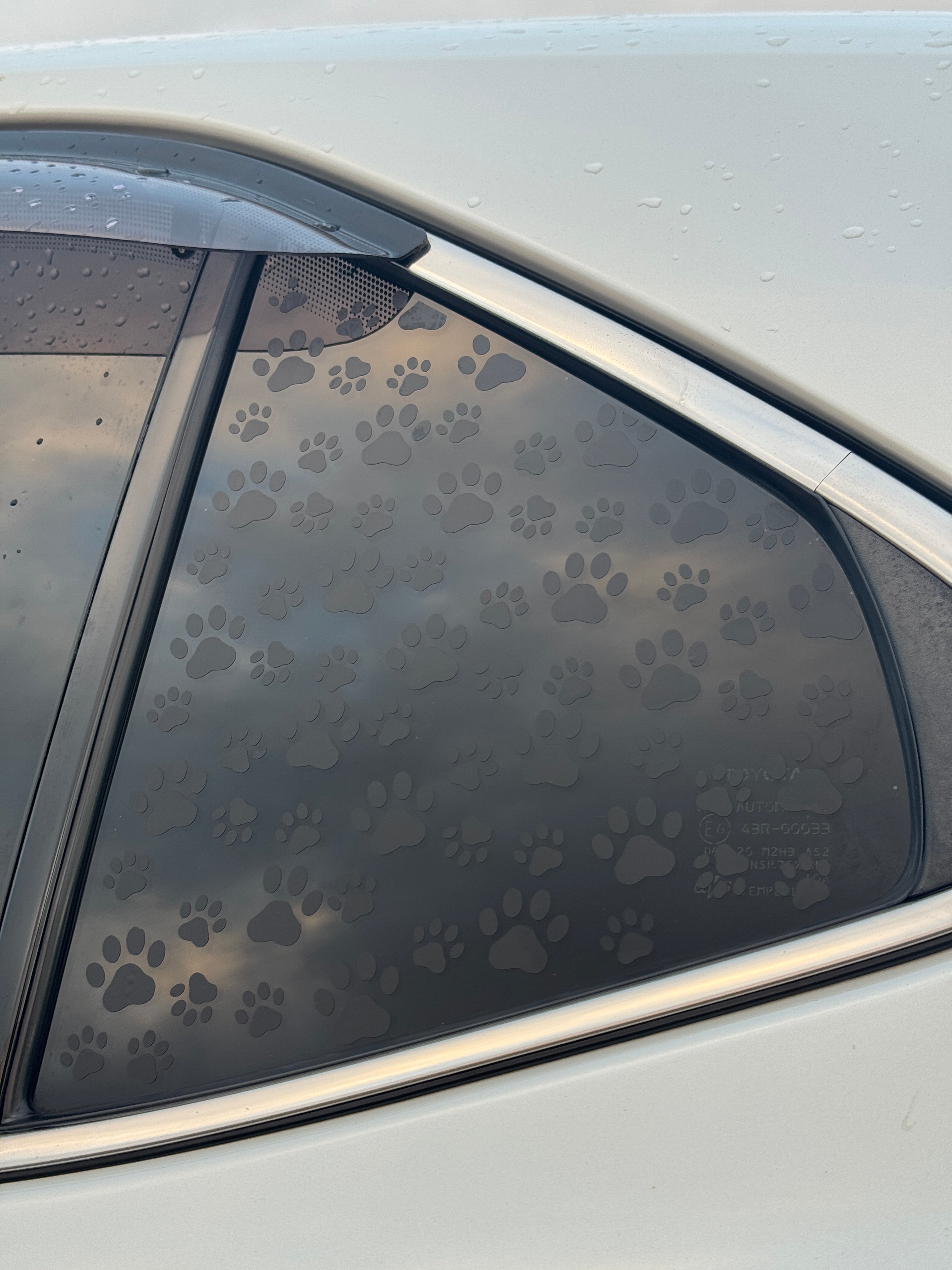 Paw Print Window Decal