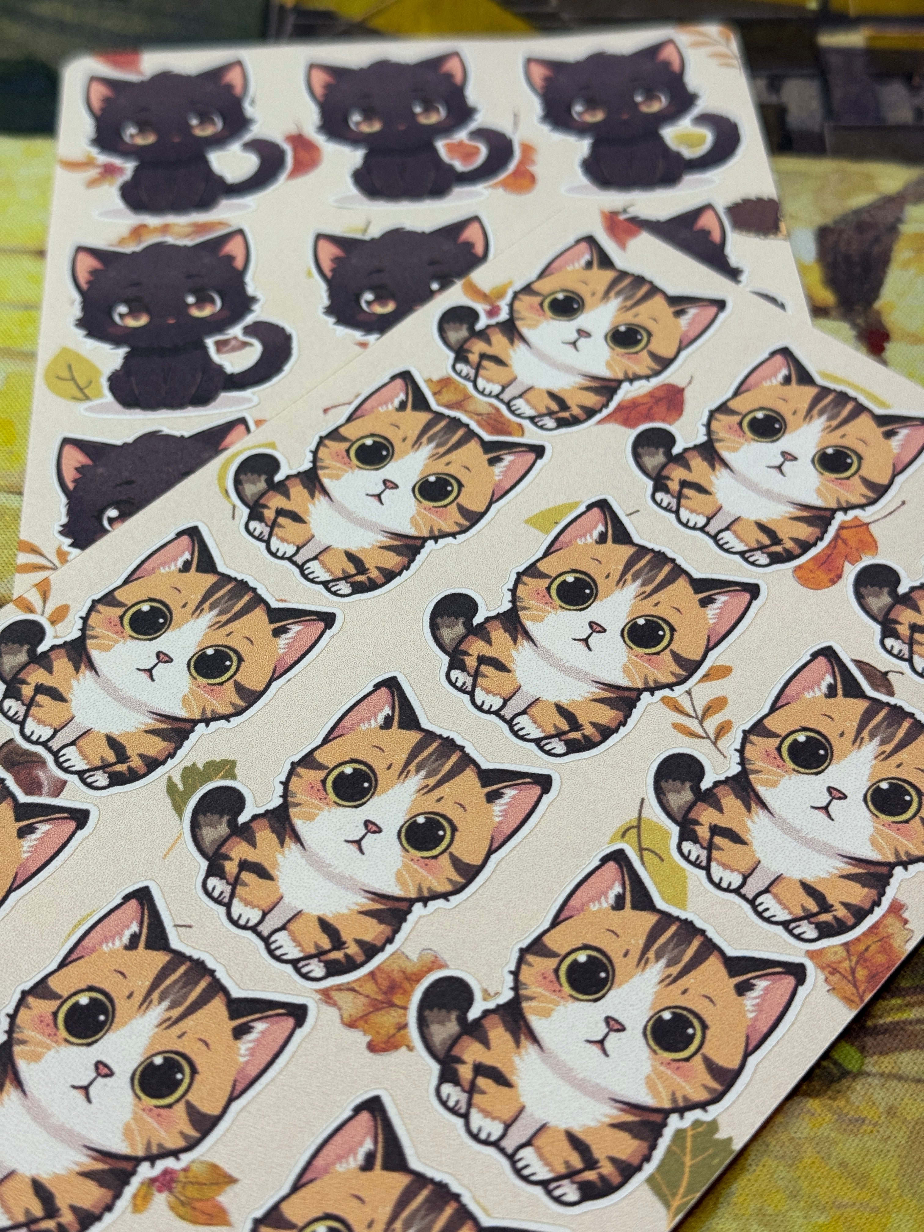 Orange and Black Cats